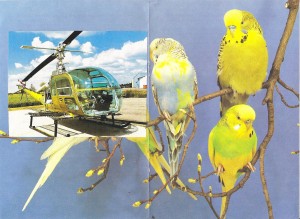 flight